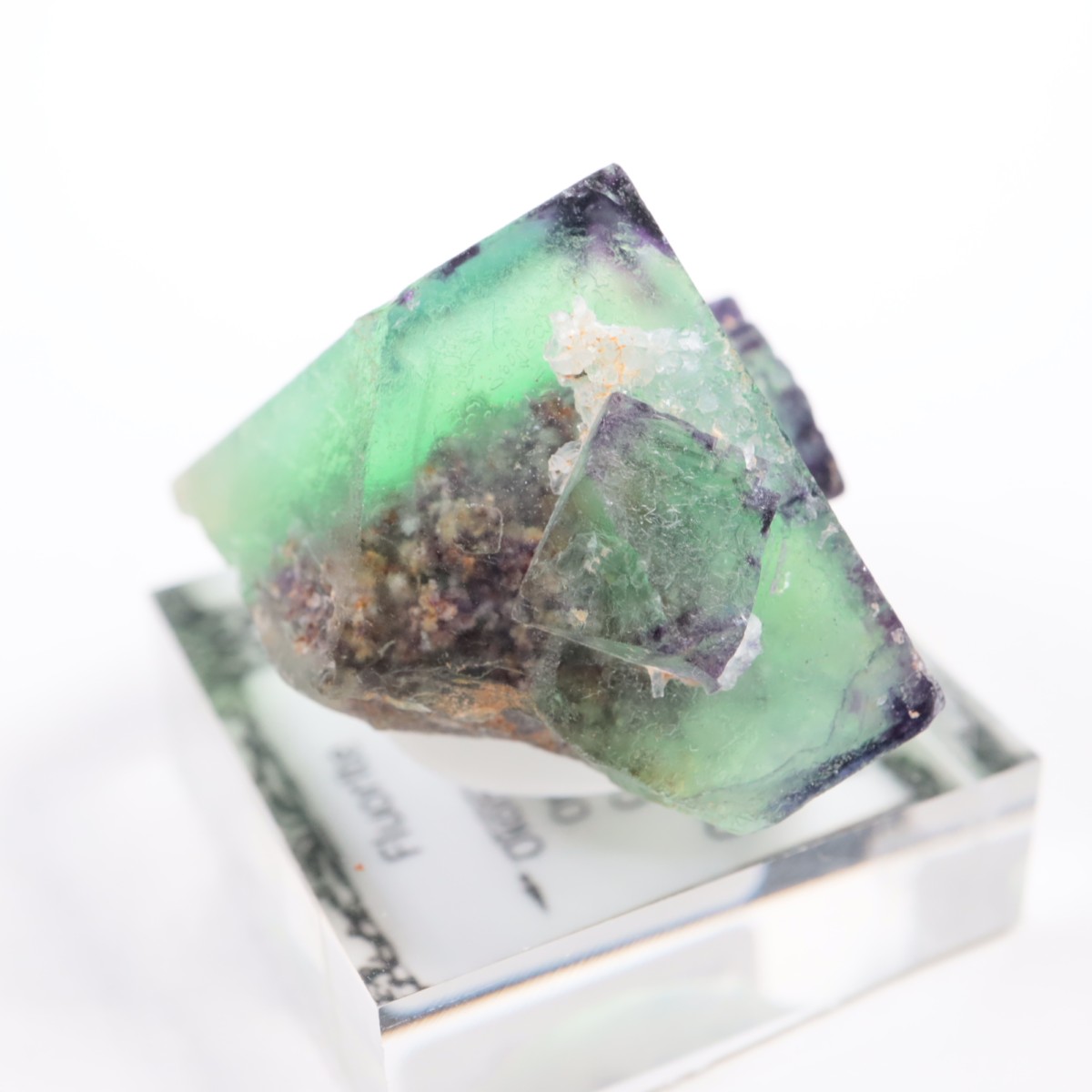 �����륹�ۻ��� �ե����饤��