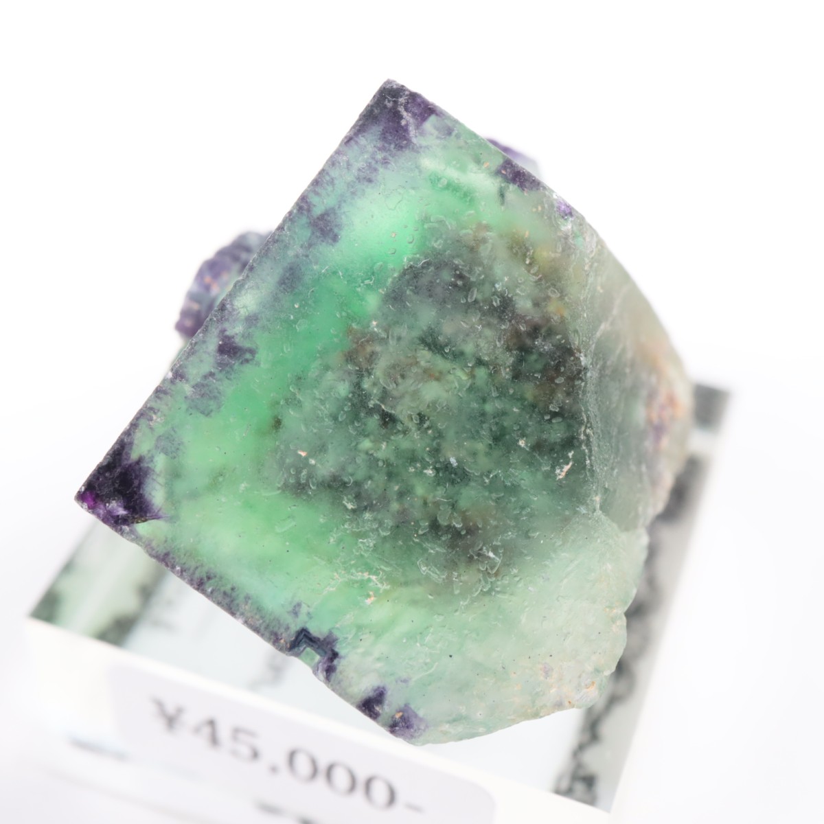 �����륹�ۻ��� �ե����饤��