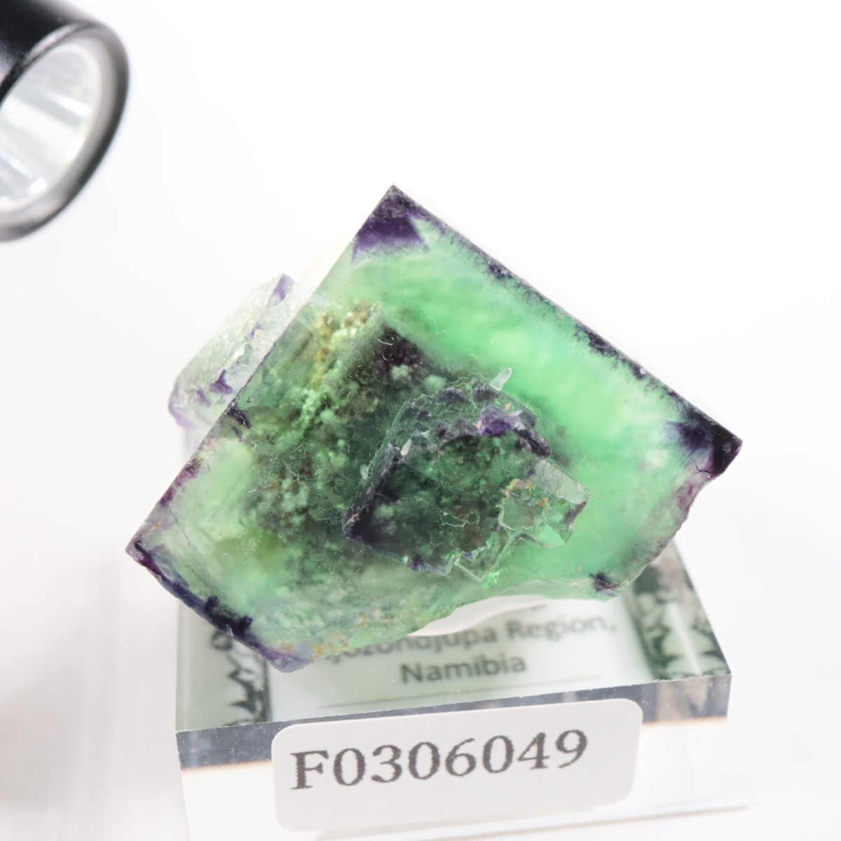 �����륹�ۻ��� �ե����饤��