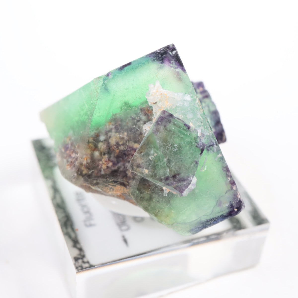 �����륹�ۻ��� �ե����饤��