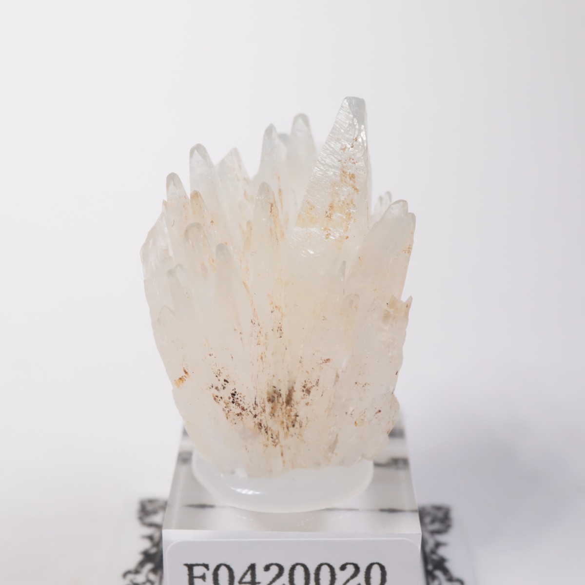 �����ꥢ�� ���쥹�ƥ���