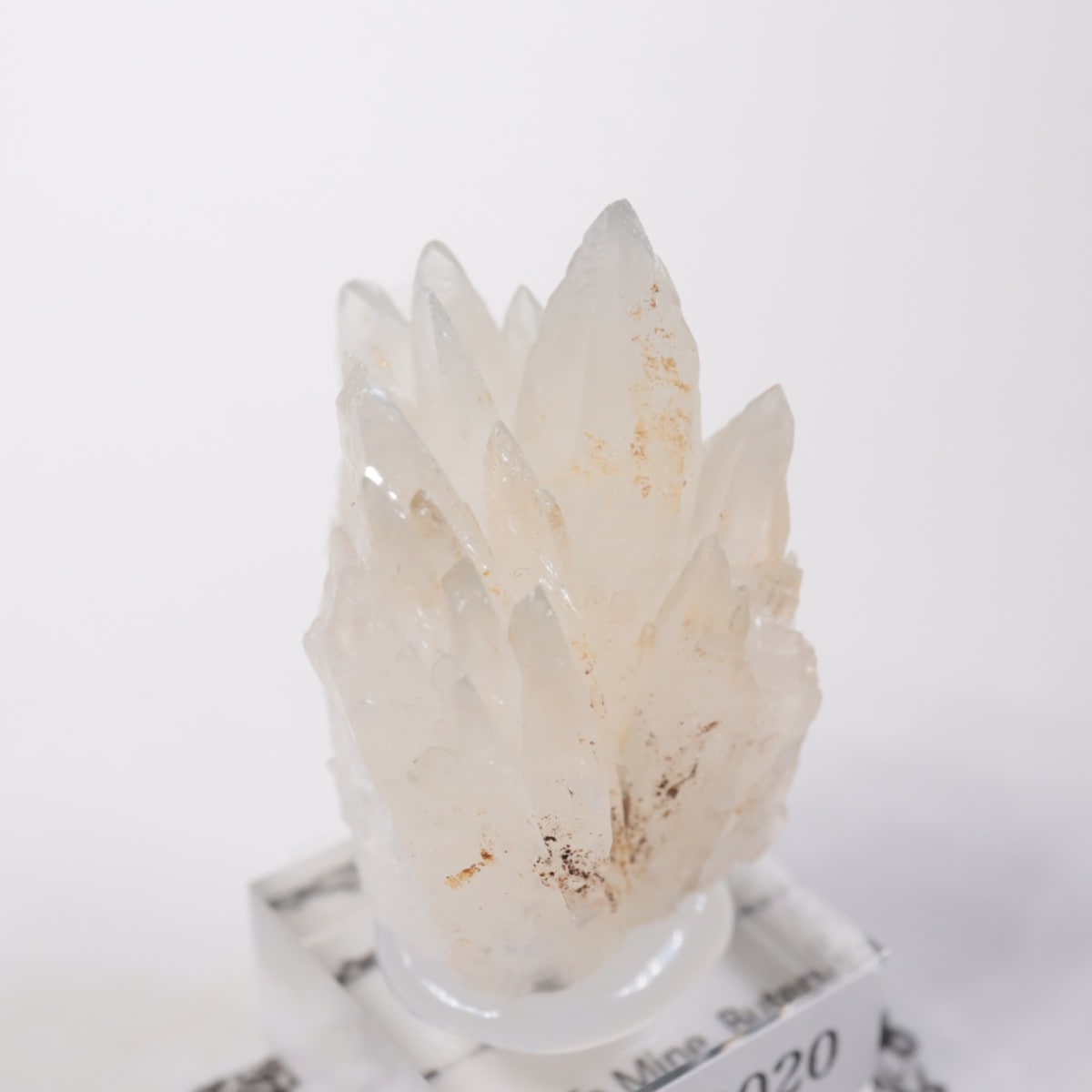 �����ꥢ�� ���쥹�ƥ���