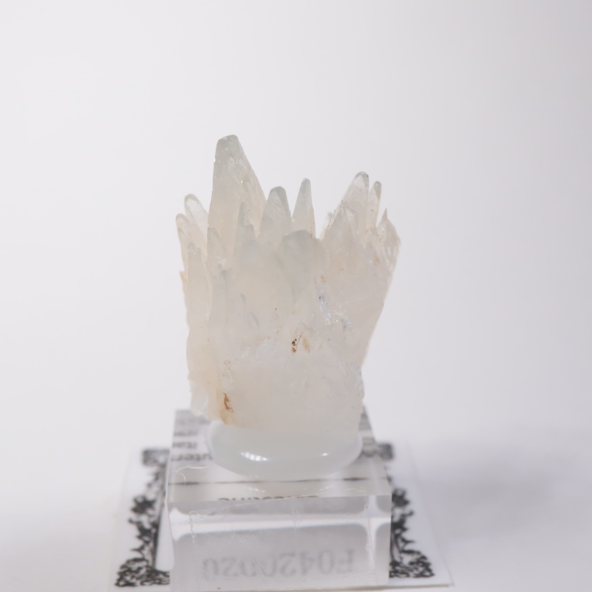 �����ꥢ�� ���쥹�ƥ���