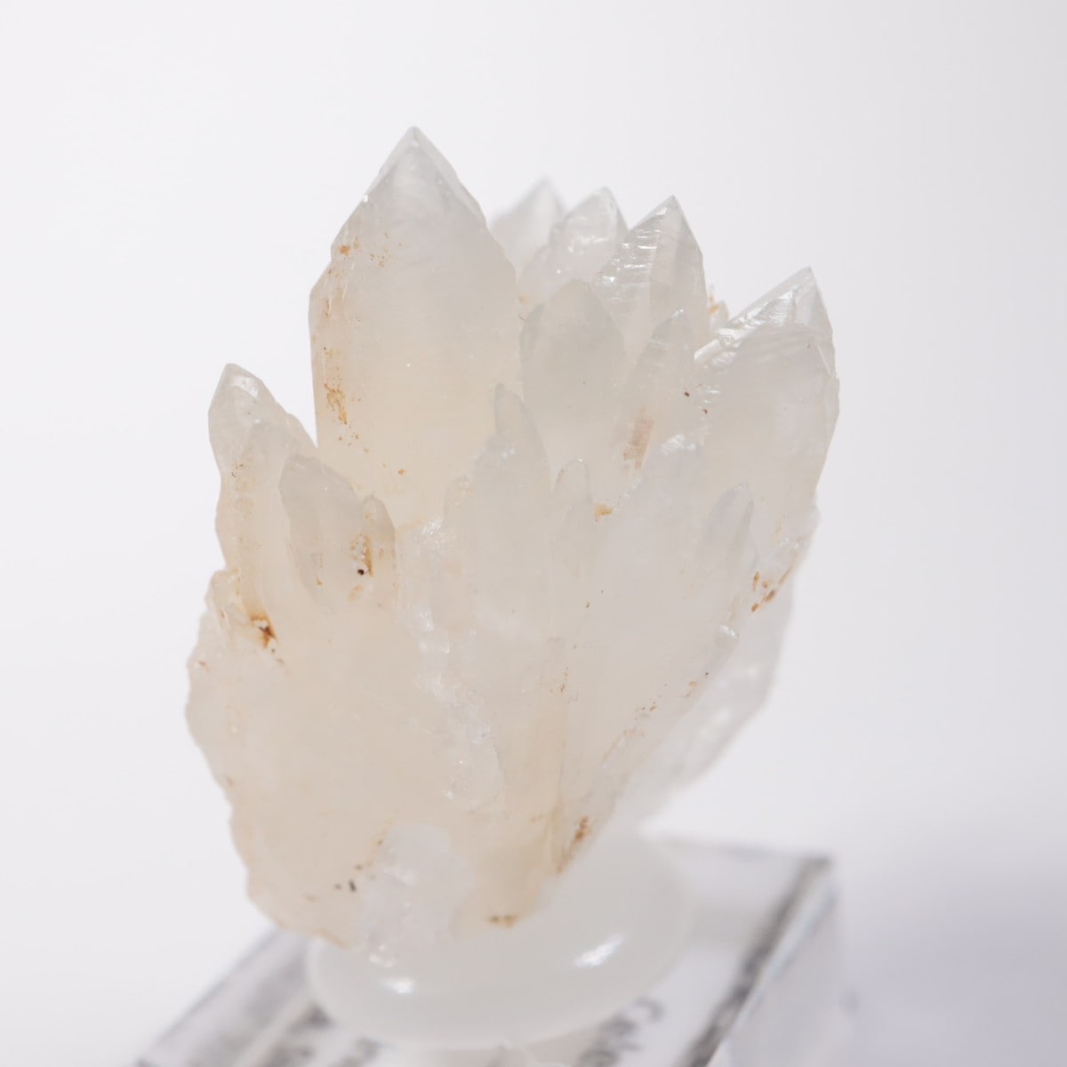 �����ꥢ�� ���쥹�ƥ���