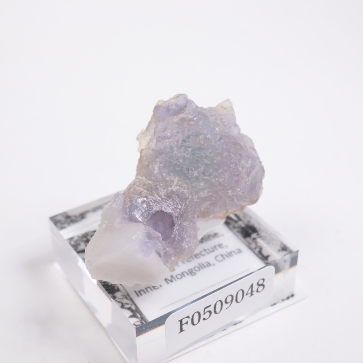 ���󥴥뻺 �ե����饤��