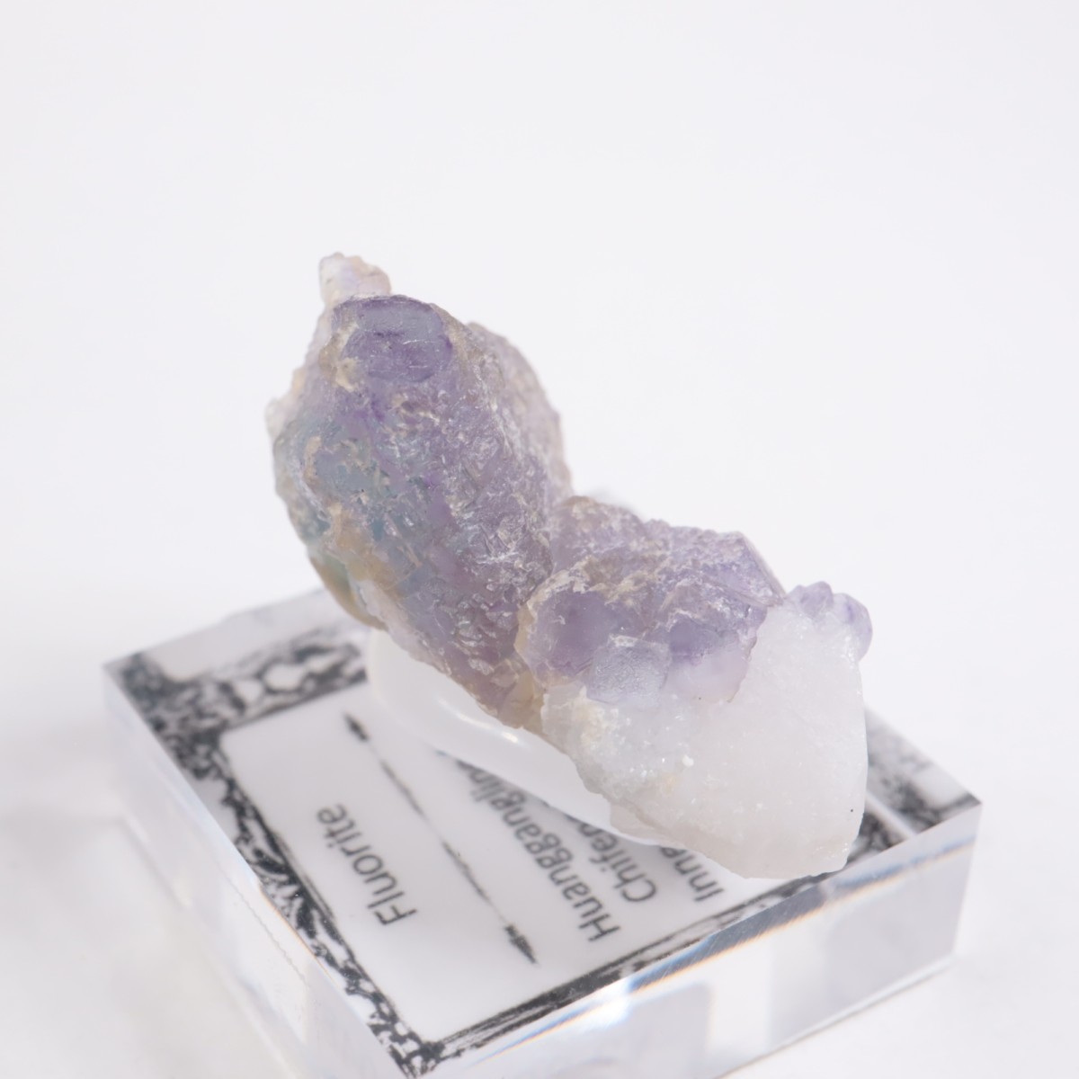 ���󥴥뻺 �ե����饤��