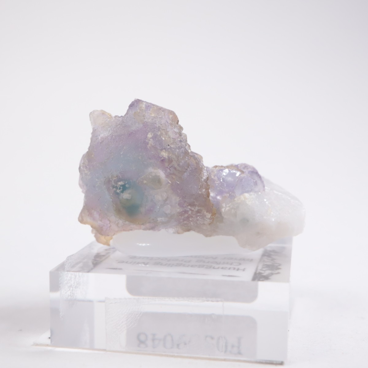 ���󥴥뻺 �ե����饤��