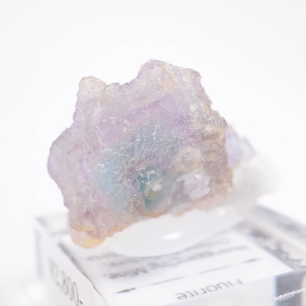 ���󥴥뻺 �ե����饤��