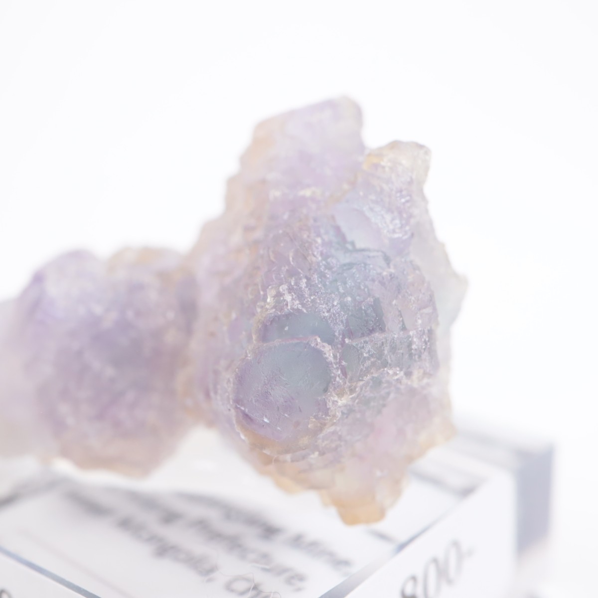 ���󥴥뻺 �ե����饤��