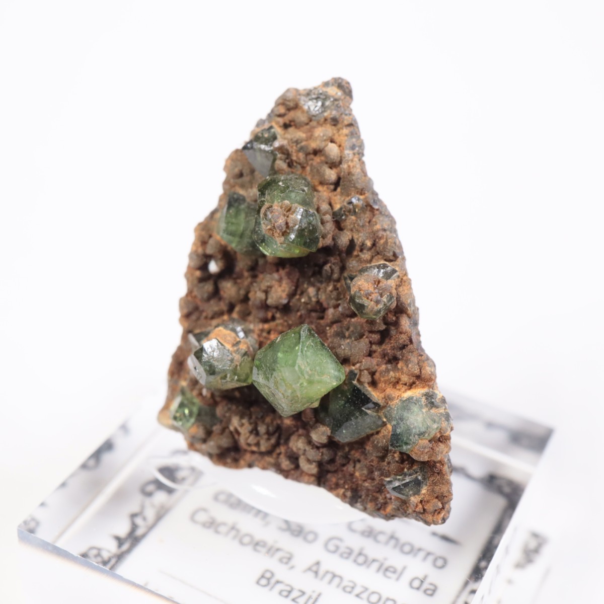 �֥饸�뻺 ��ɥ�ޥ���