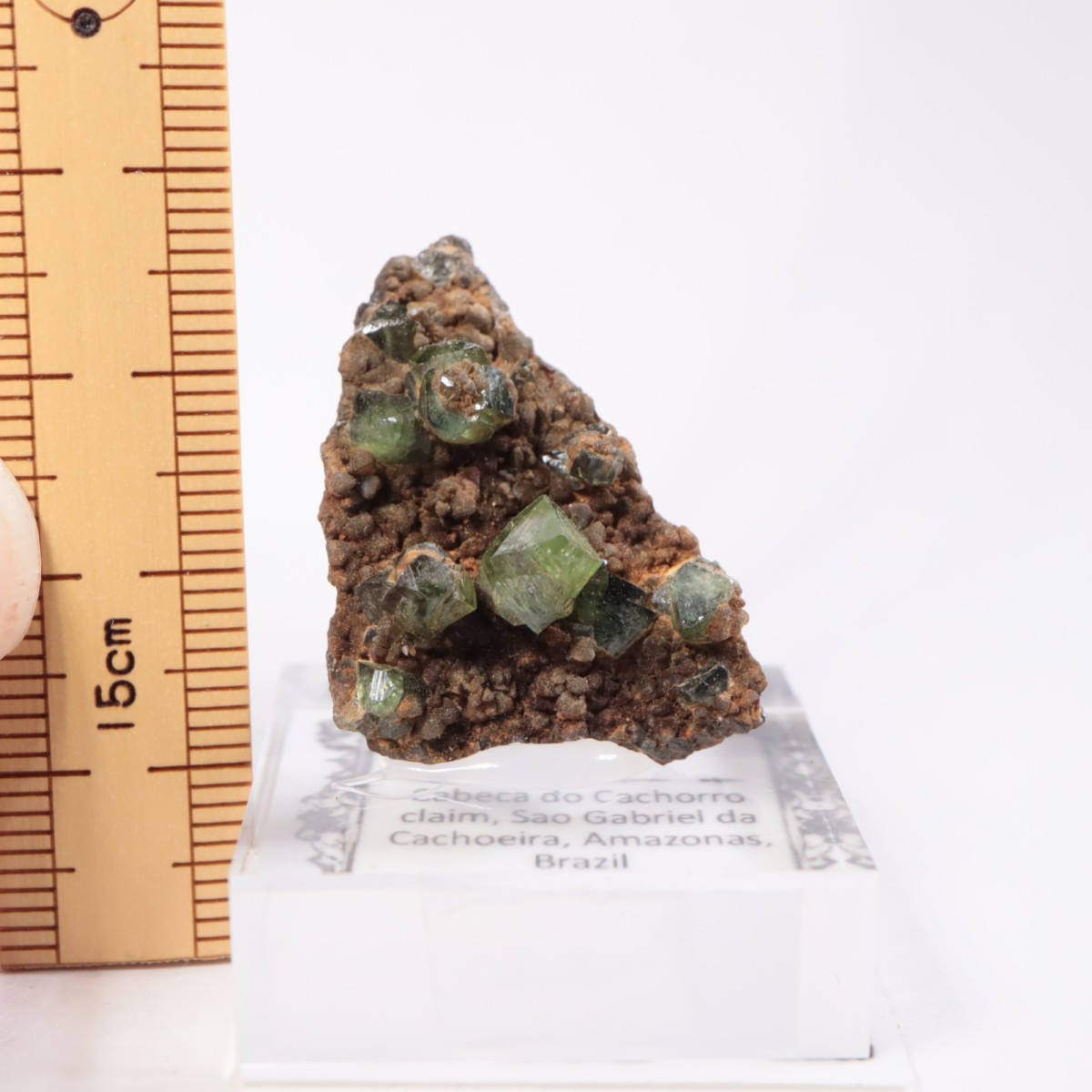 �֥饸�뻺 ��ɥ�ޥ���