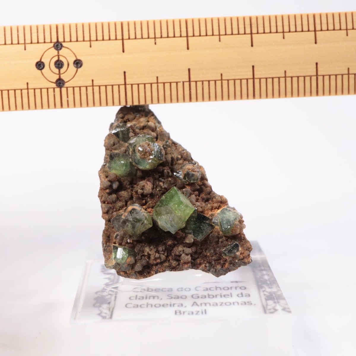 �֥饸�뻺 ��ɥ�ޥ���