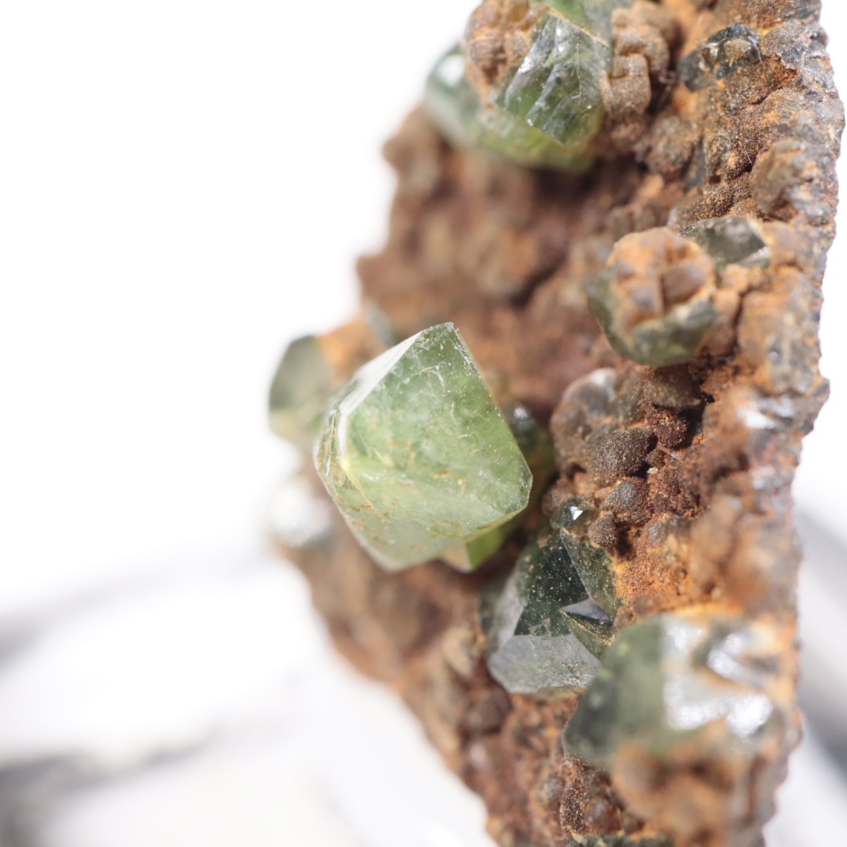 �֥饸�뻺 ��ɥ�ޥ���