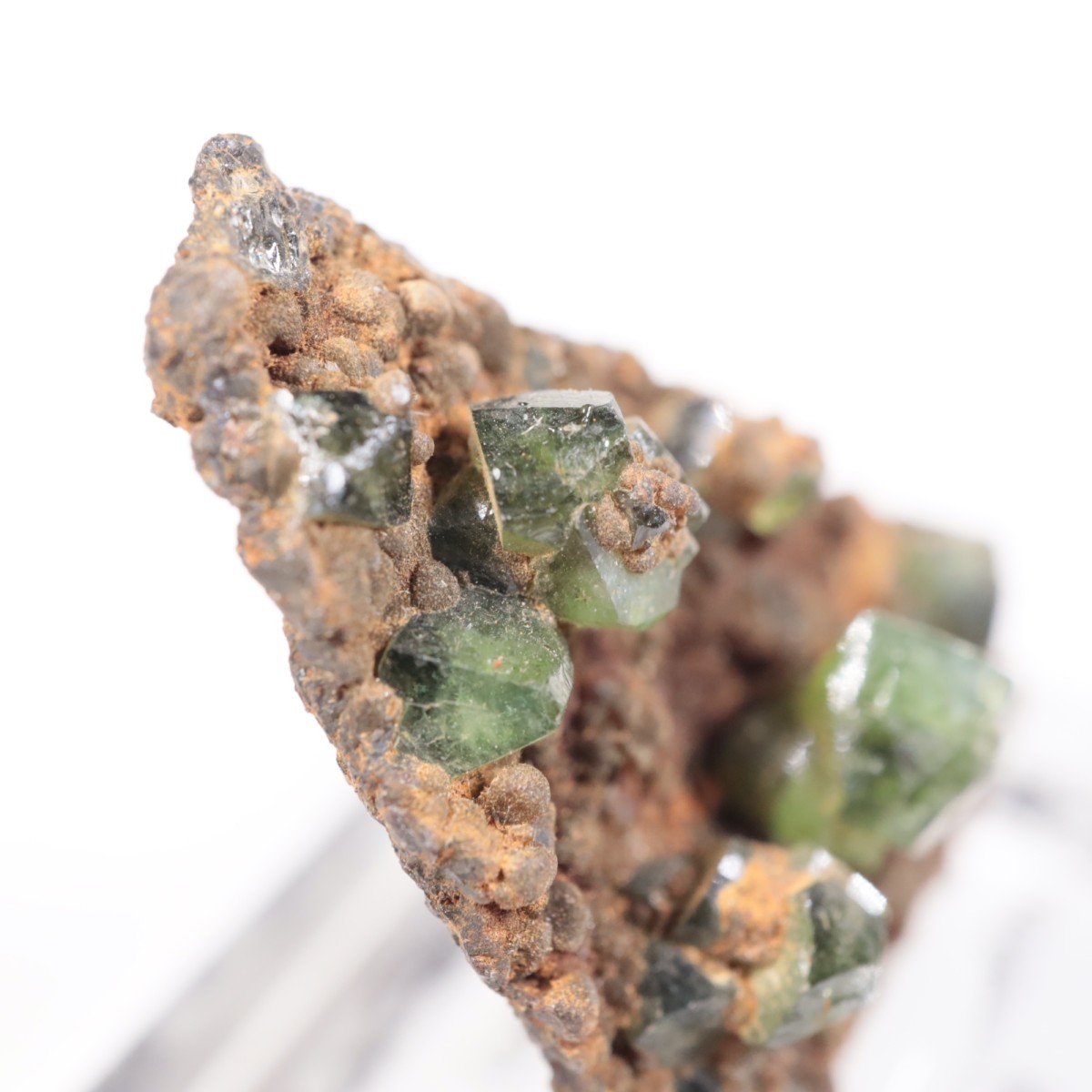 �֥饸�뻺 ��ɥ�ޥ���