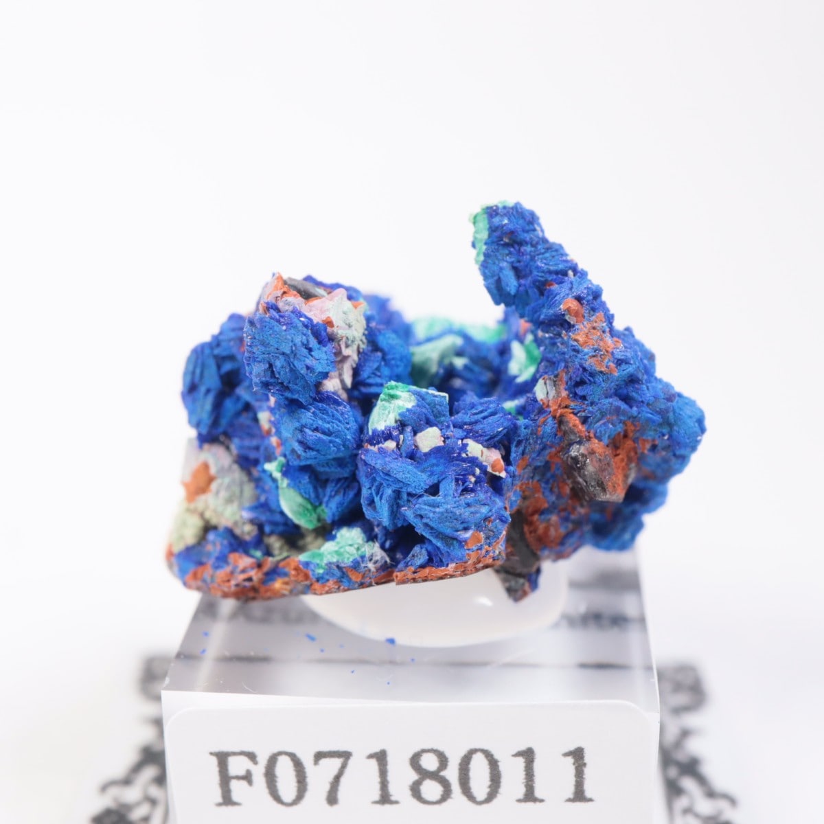 ����å����������饤�ȡ��ޥ饫����