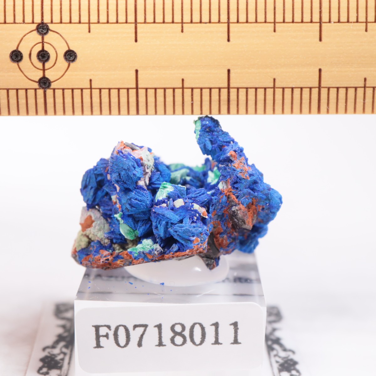 ����å����������饤�ȡ��ޥ饫����