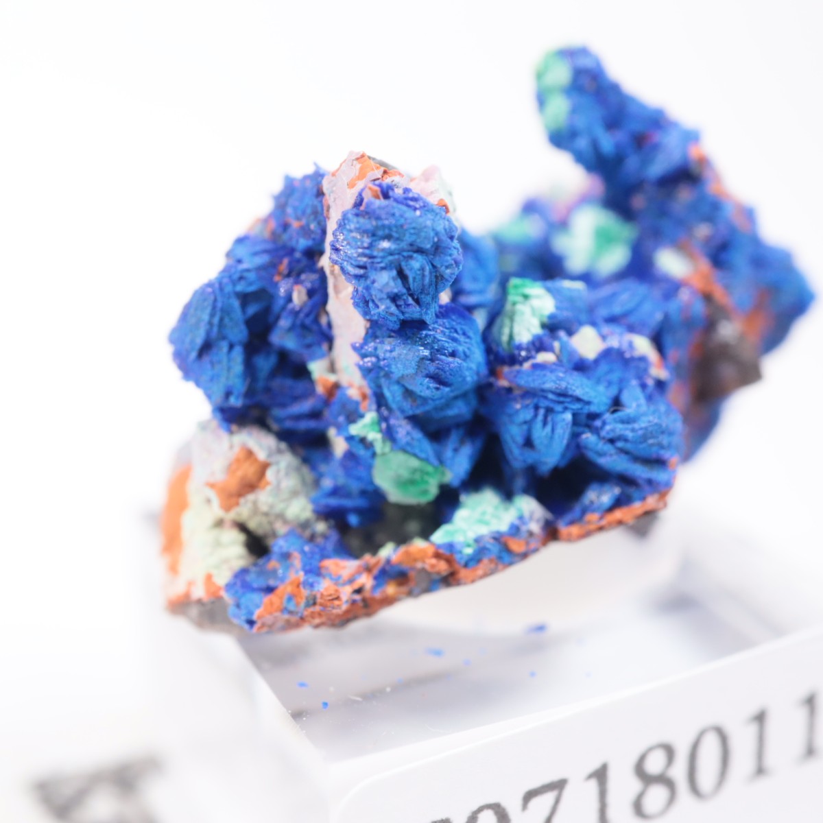 ����å����������饤�ȡ��ޥ饫����