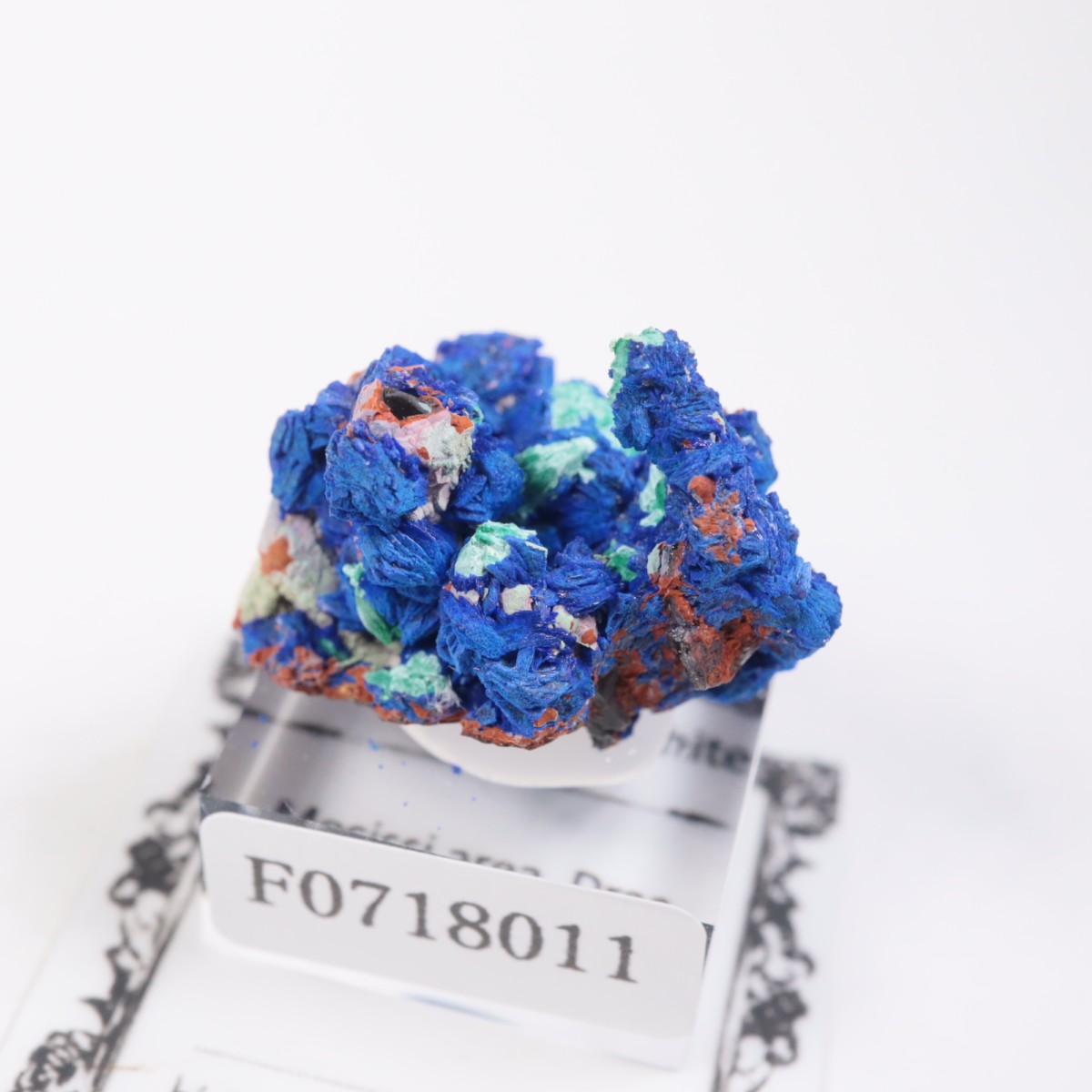 ����å����������饤�ȡ��ޥ饫����