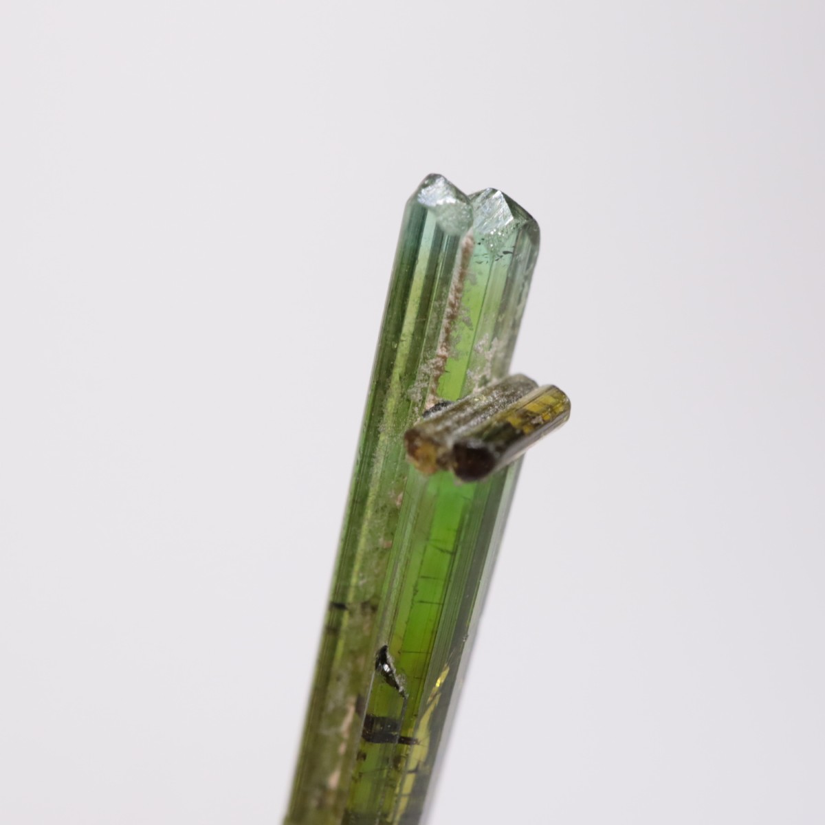 Coronel Murta�� �ȥ�ޥ��