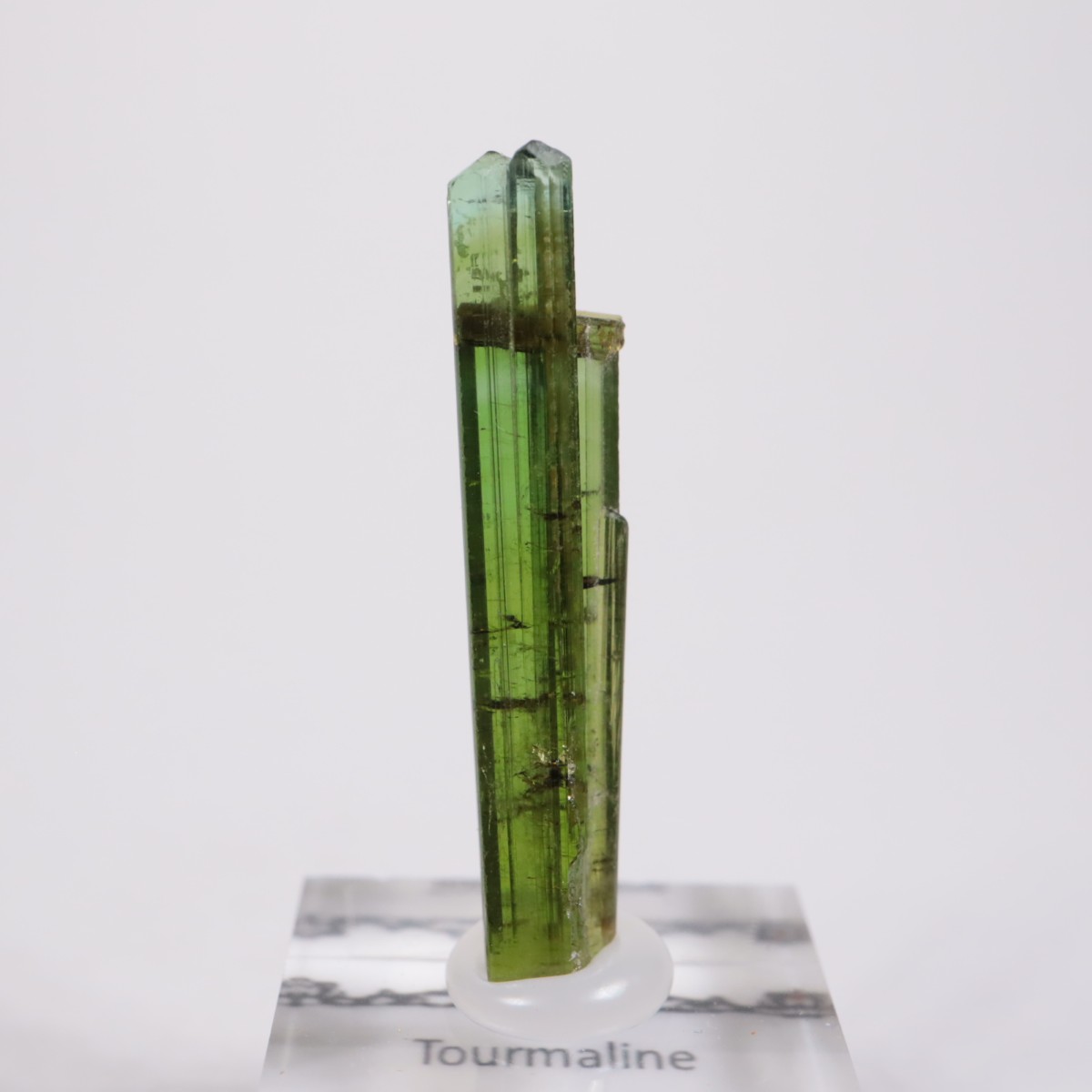 Coronel Murta�� �ȥ�ޥ��