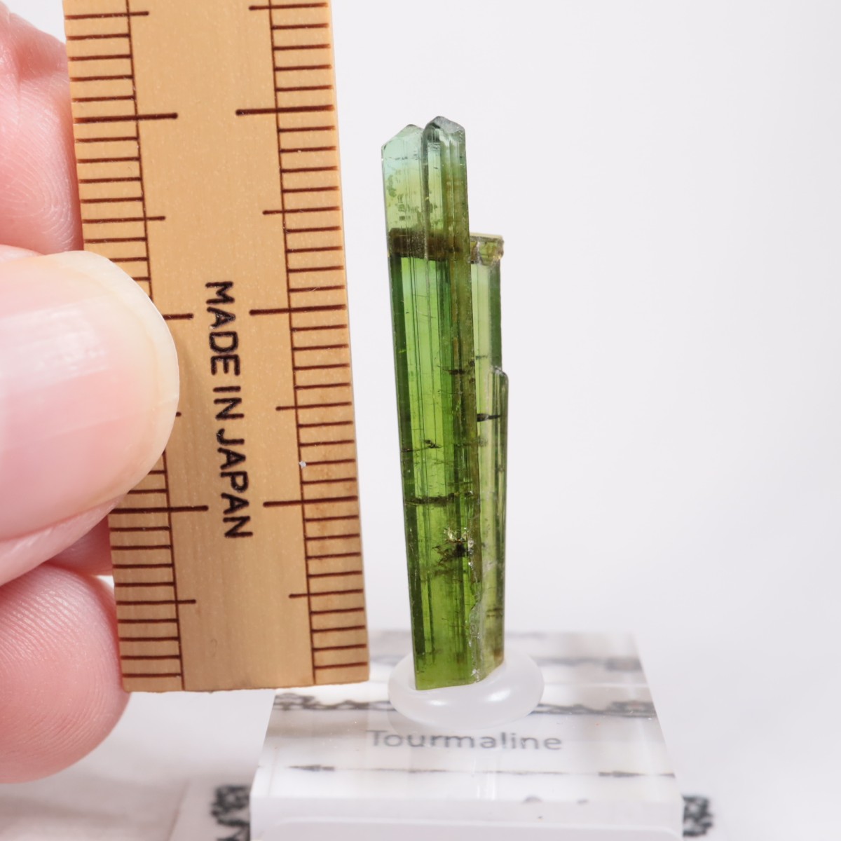 Coronel Murta�� �ȥ�ޥ��