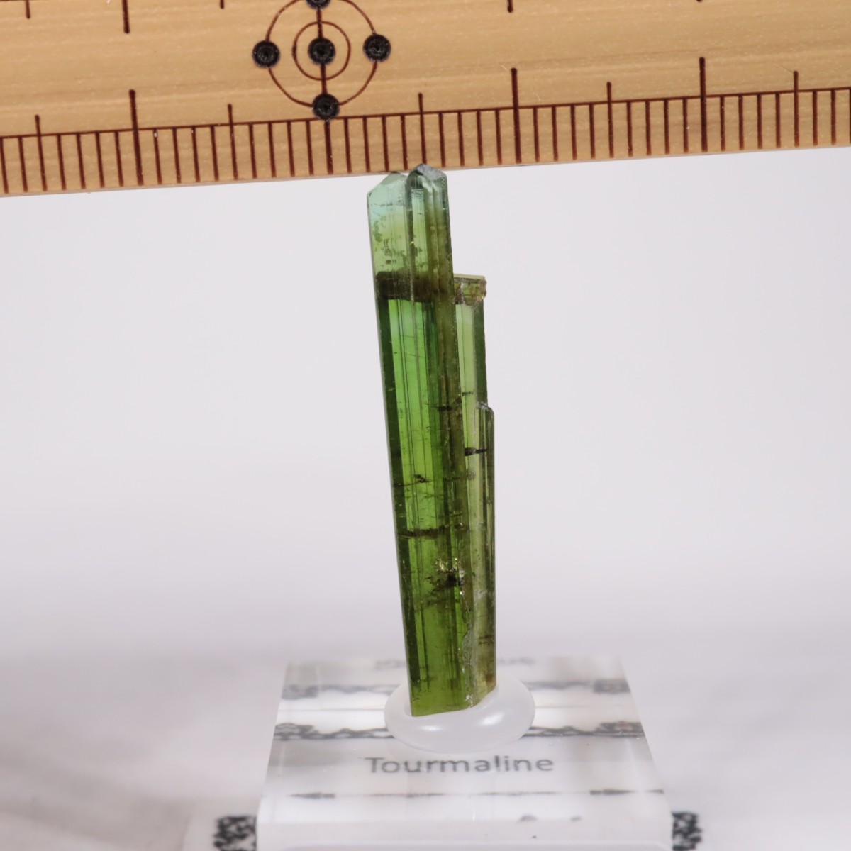 Coronel Murta�� �ȥ�ޥ��