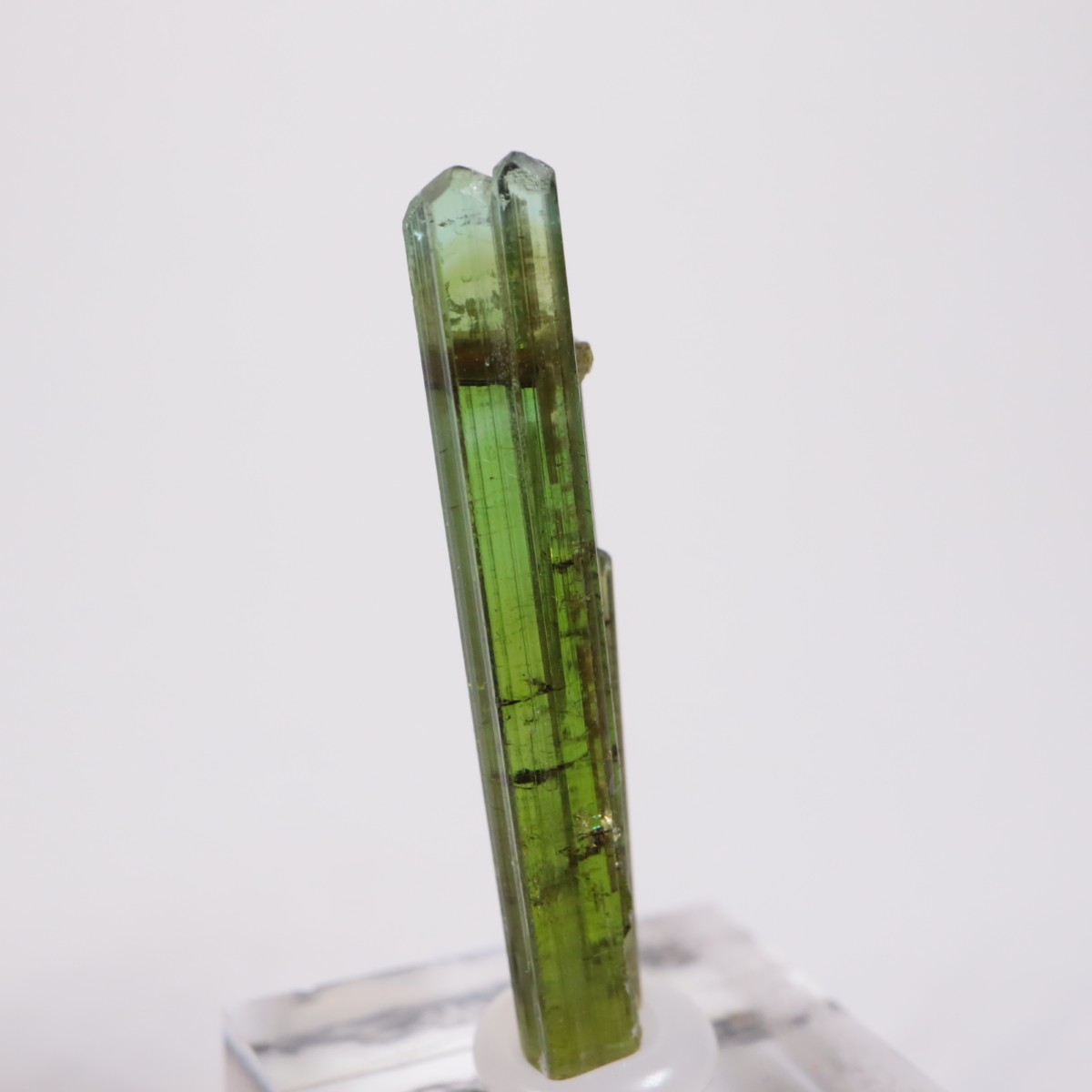 Coronel Murta�� �ȥ�ޥ��