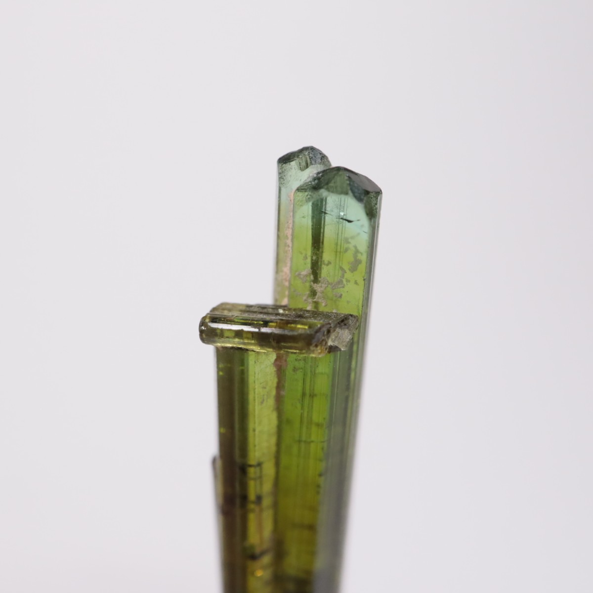 Coronel Murta�� �ȥ�ޥ��