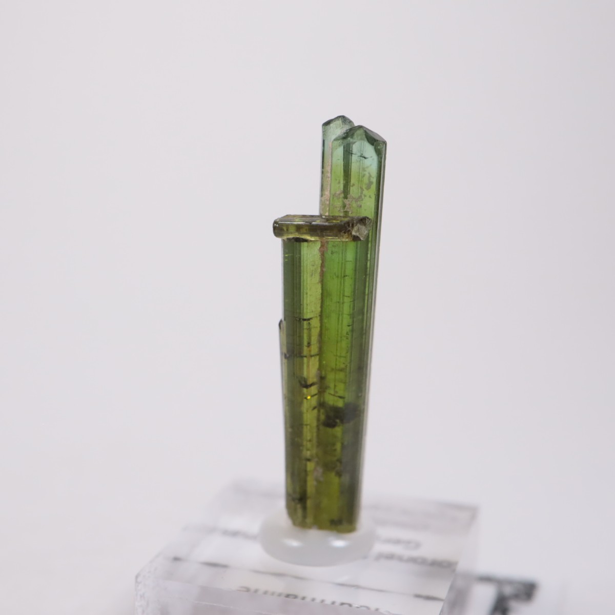 Coronel Murta�� �ȥ�ޥ��