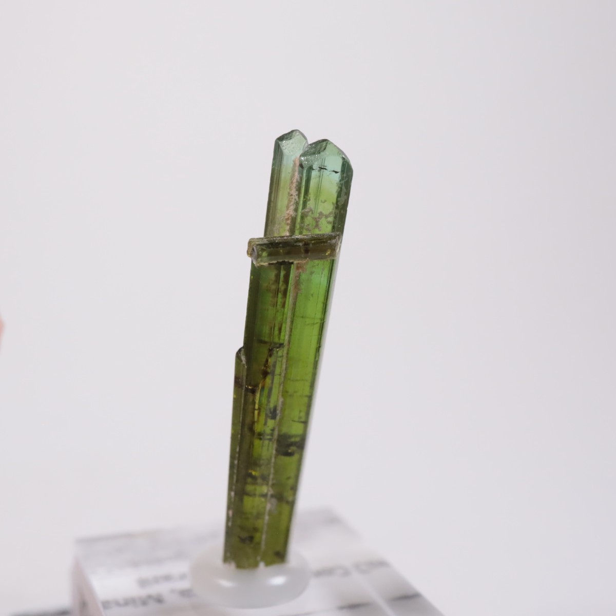 Coronel Murta�� �ȥ�ޥ��