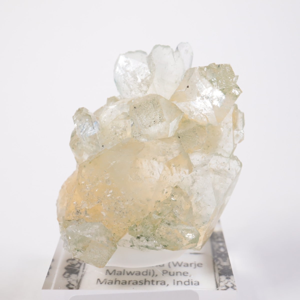 ����ɻ� ���ݥե��饤��