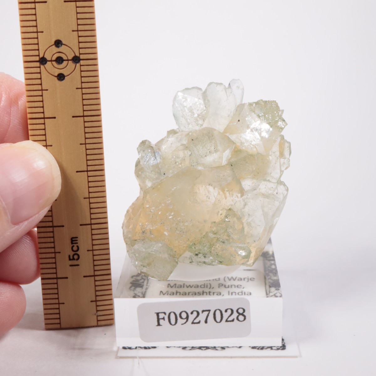 ����ɻ� ���ݥե��饤��