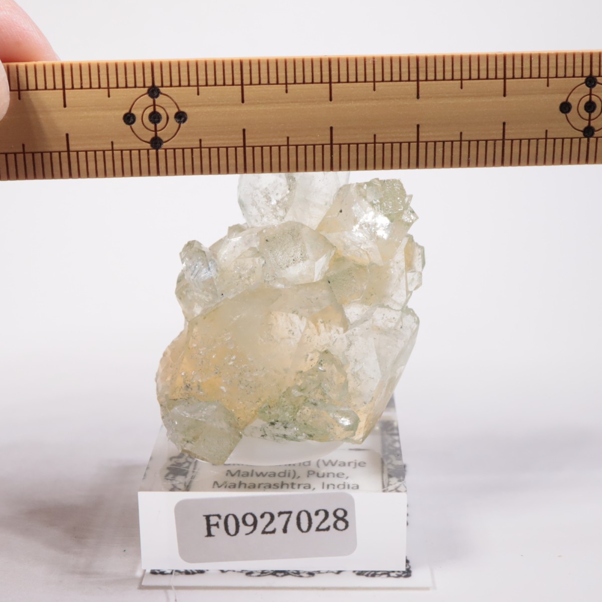 ����ɻ� ���ݥե��饤��