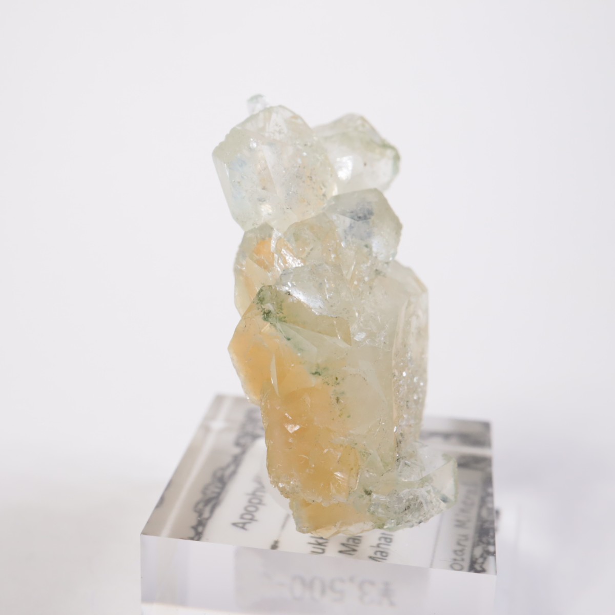 ����ɻ� ���ݥե��饤��