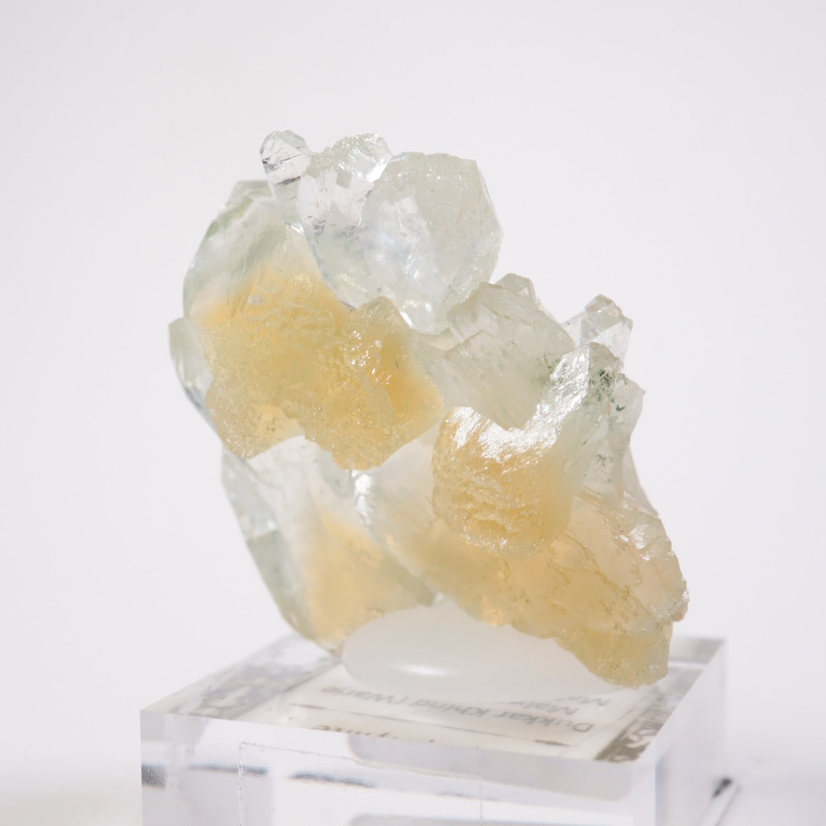 ����ɻ� ���ݥե��饤��