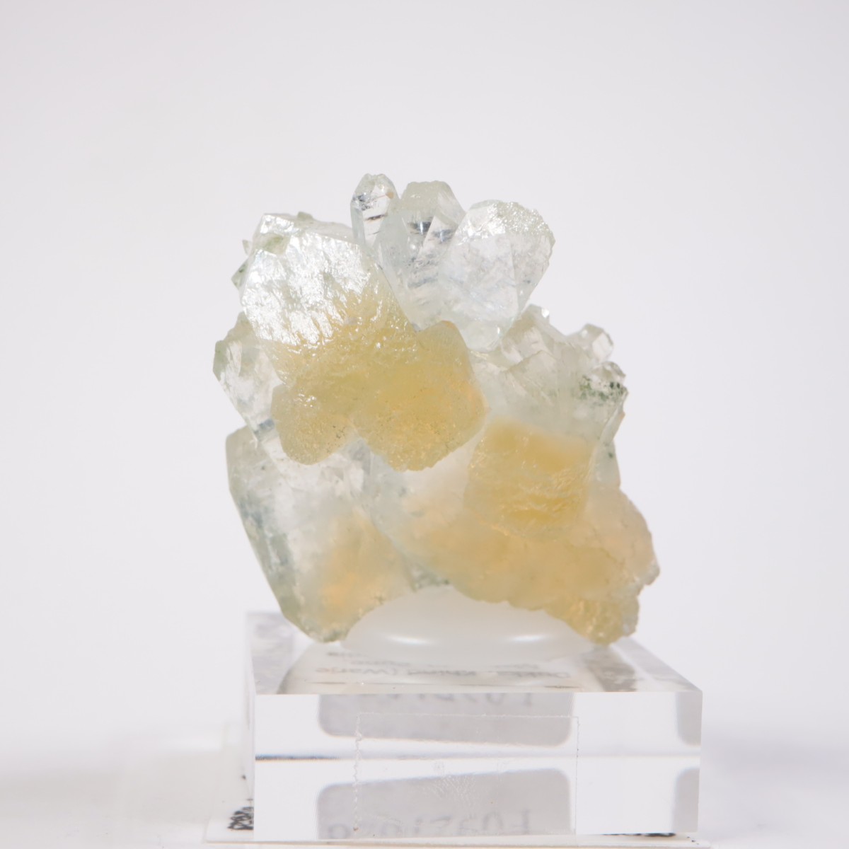 ����ɻ� ���ݥե��饤��