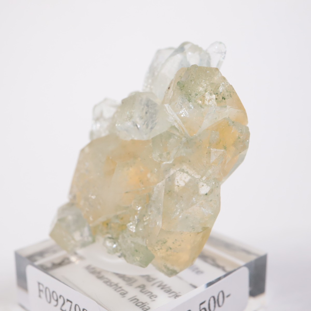 ����ɻ� ���ݥե��饤��