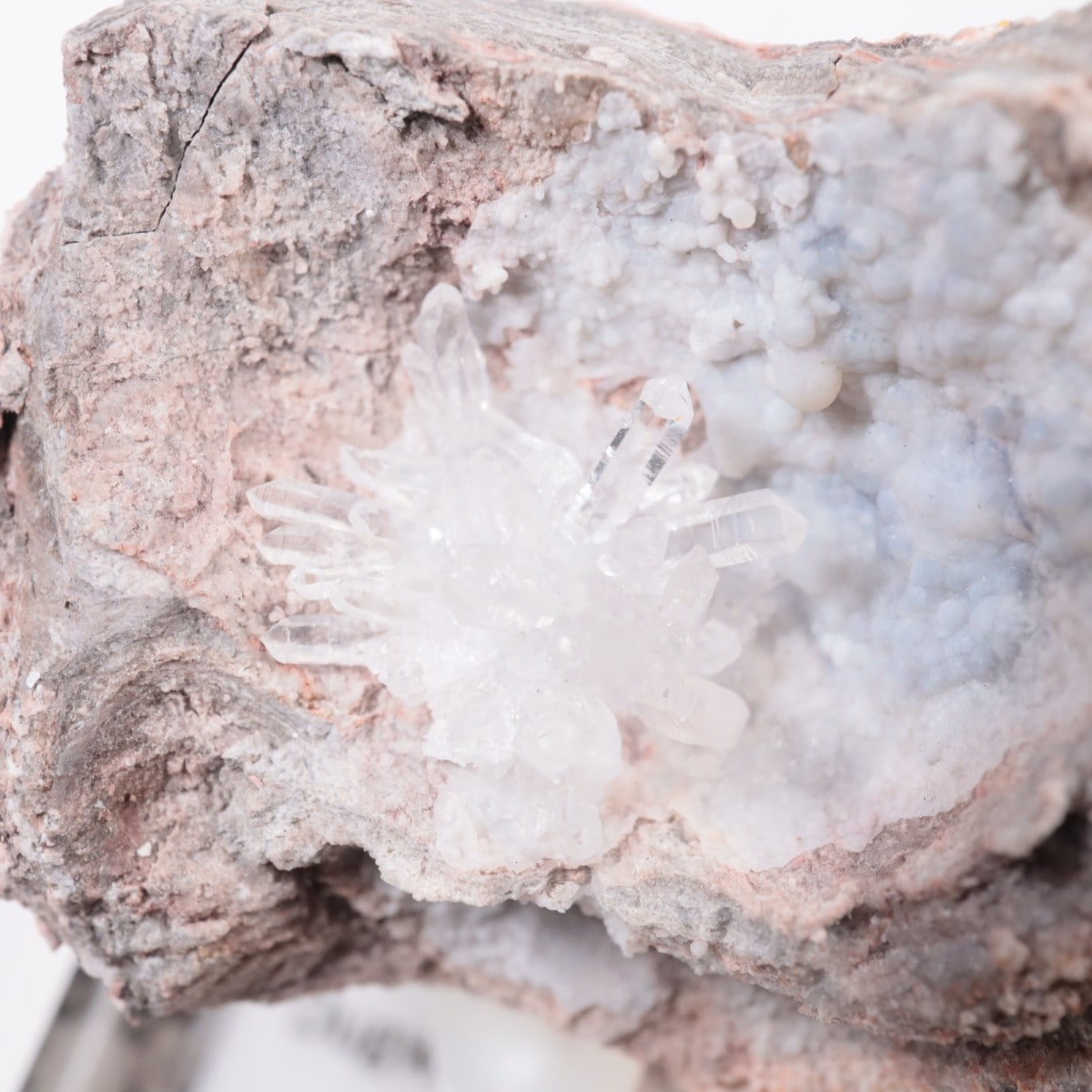 �楿�� ��������