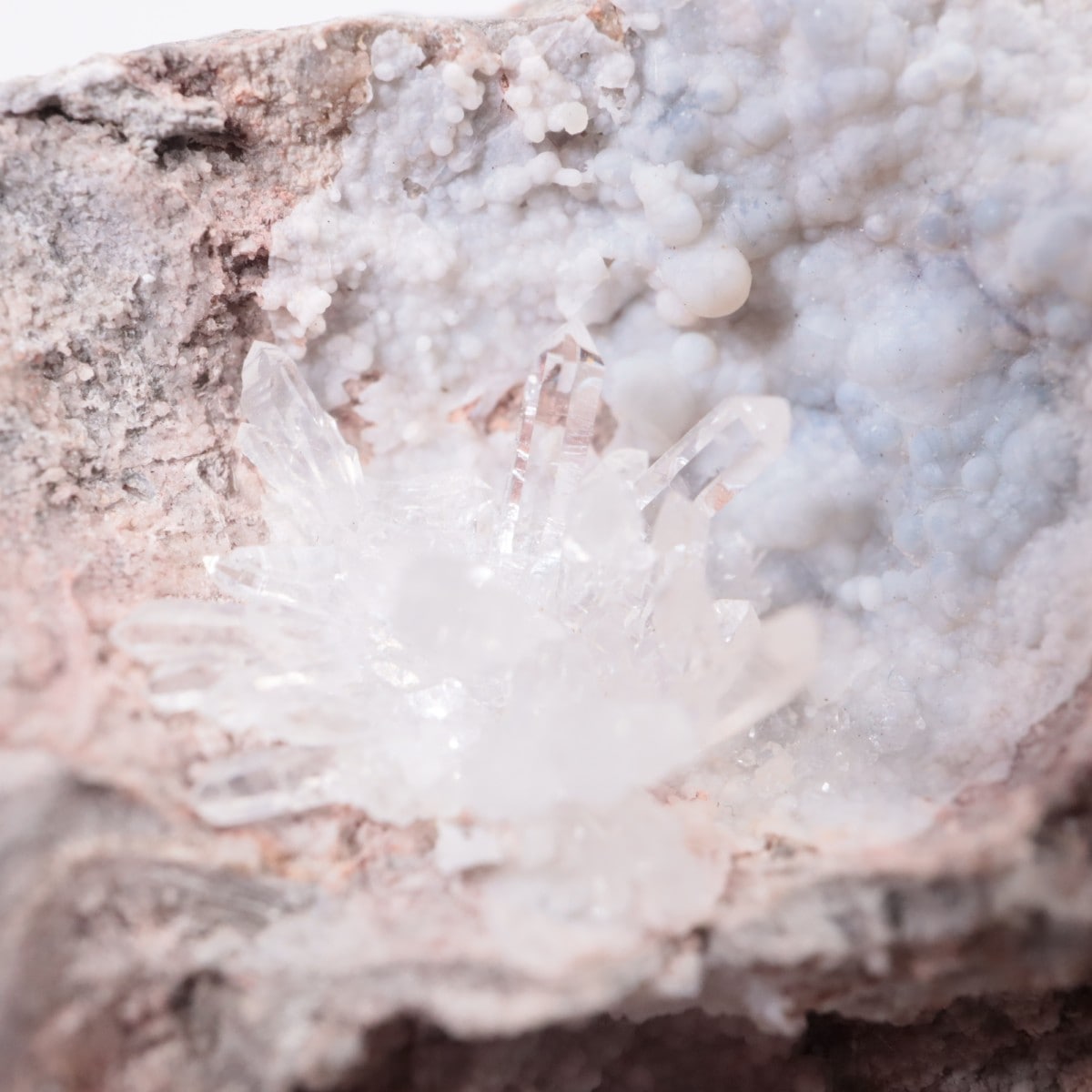 �楿�� ��������