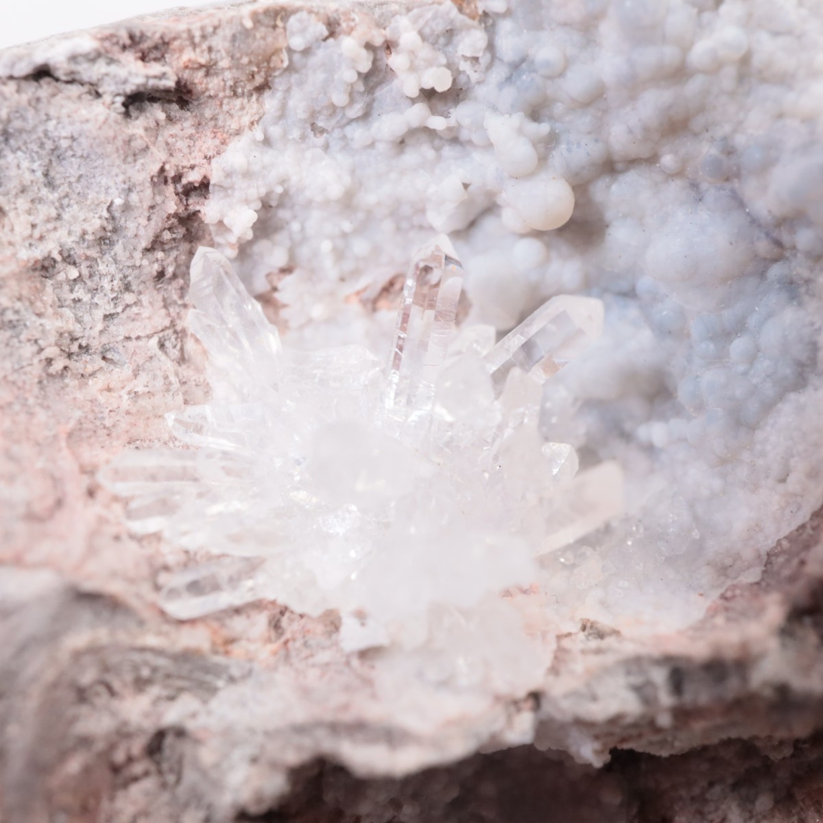 �楿�� ��������