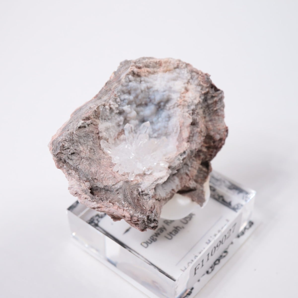 �楿�� ��������