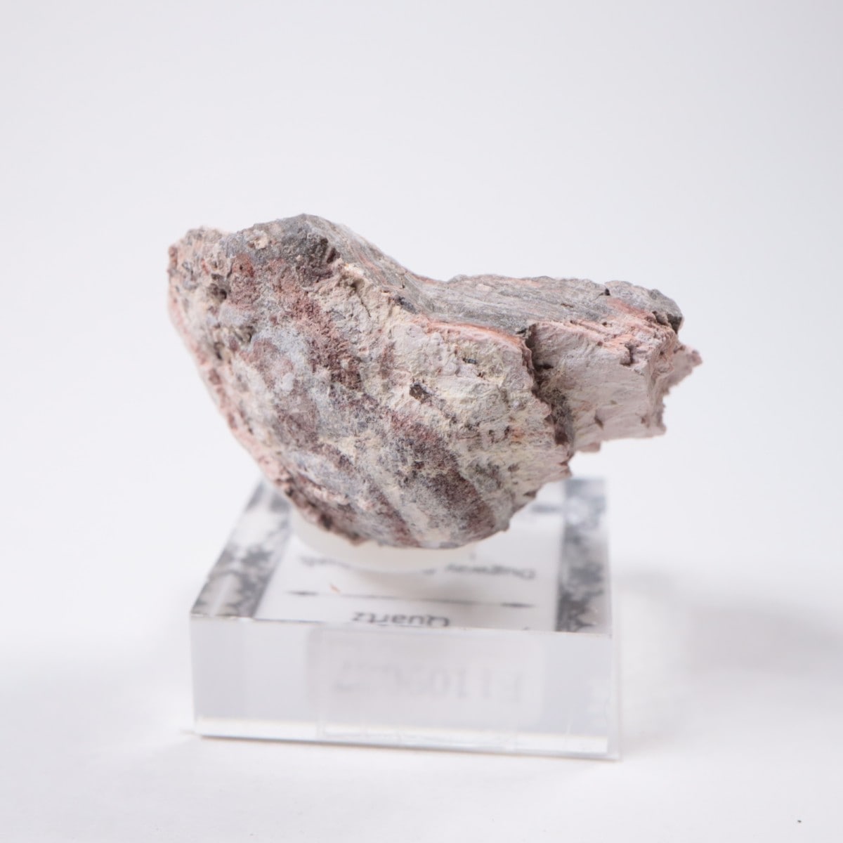 �楿�� ��������