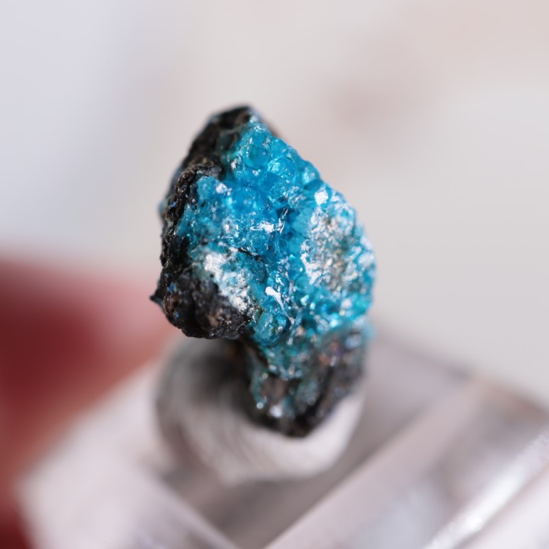 90%オフ！アクシスチェーン　AXIS 鉱石　珪藻鉱石　微弱ラジウム線 高品質・ブラジル産]パイライト原石（黄鉄鉱） - 埼玉県吉川市の