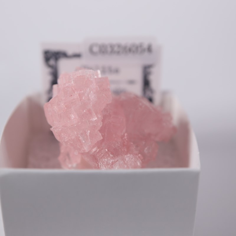 カリフォルニア州 ピンクハライト | 鉱物標本,ハ行,ハライト/岩塩