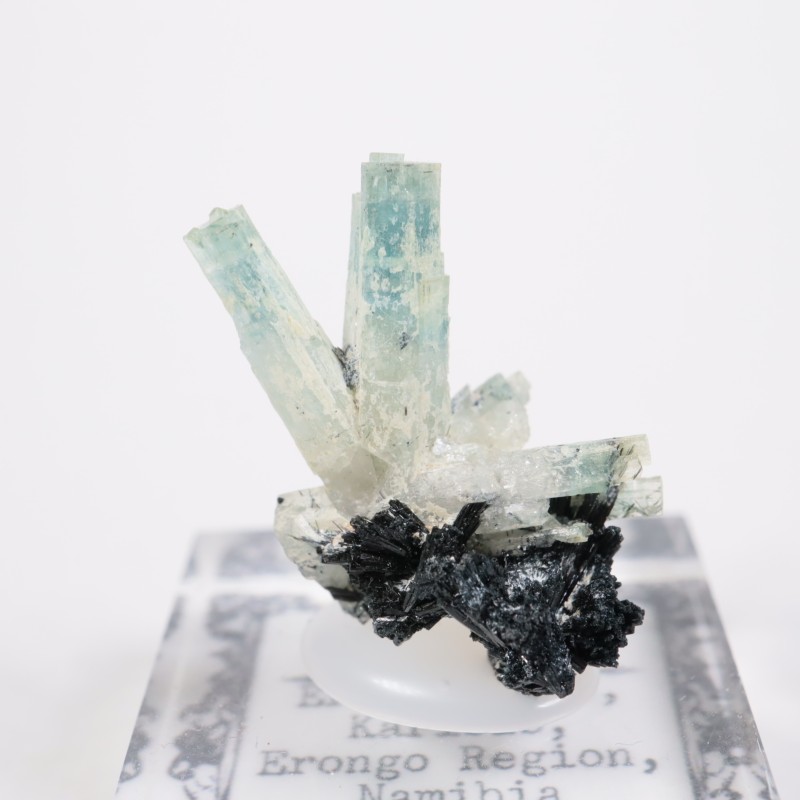 �ʥߥӥ��� �������ޥ��