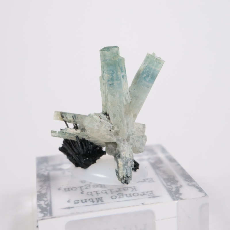 �ʥߥӥ��� �������ޥ��