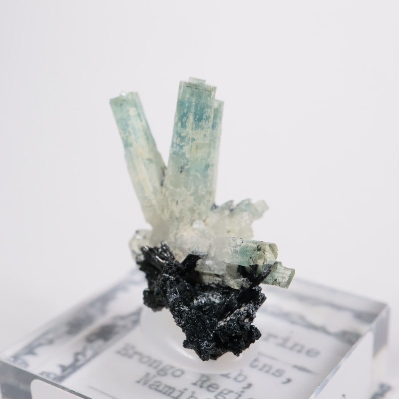 �ʥߥӥ��� �������ޥ��