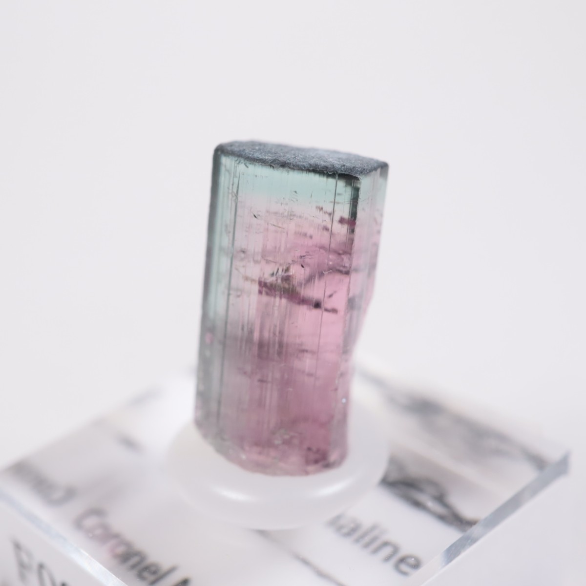 Coronel Murta�� �ȥ�ޥ��