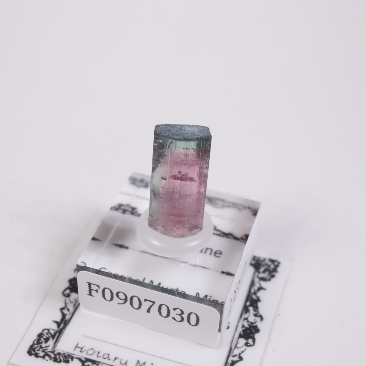 Coronel Murta�� �ȥ�ޥ��