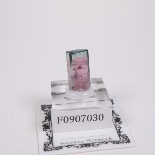 Coronel Murta�� �ȥ�ޥ��